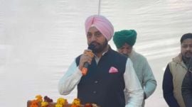 AAP