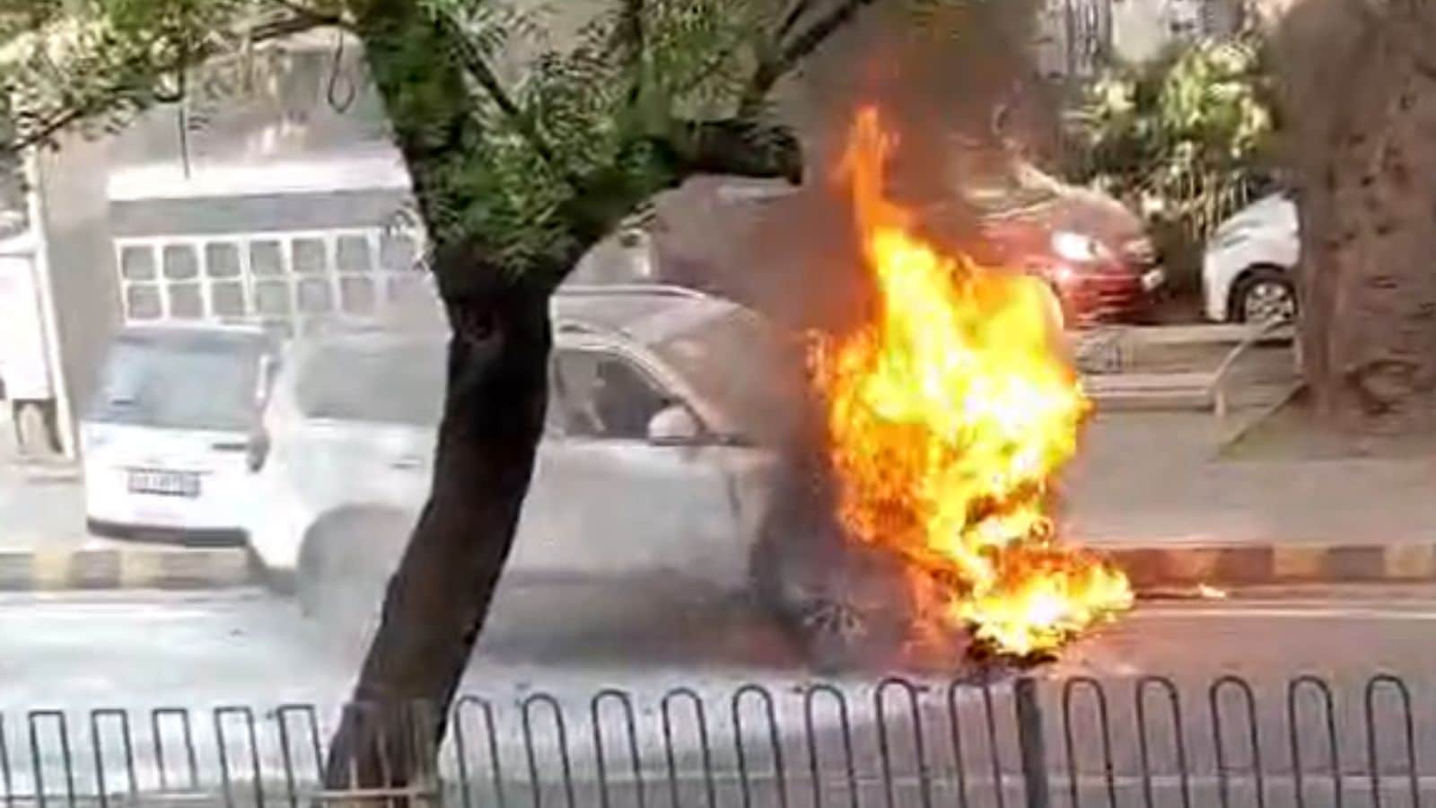 The Art of Baking: From Classic Bread to Artisan Pastries