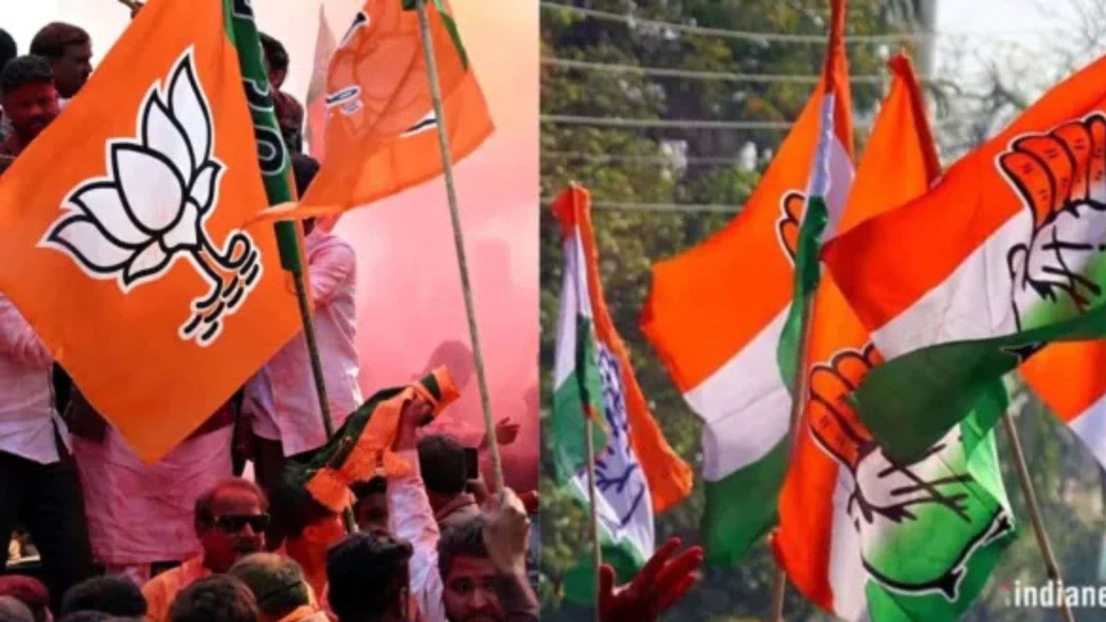 The Art of Baking: From Classic Bread to Artisan Pastries