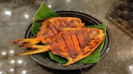Fish on coal