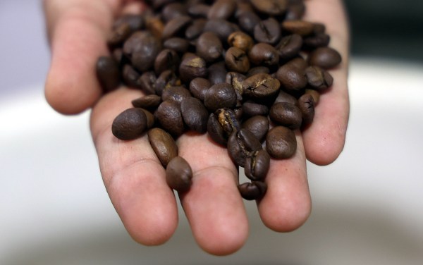 Freshly roasted coffee beans at Shrikant & Daughters Coffee Company. Express photo by Amit Chakravarty.