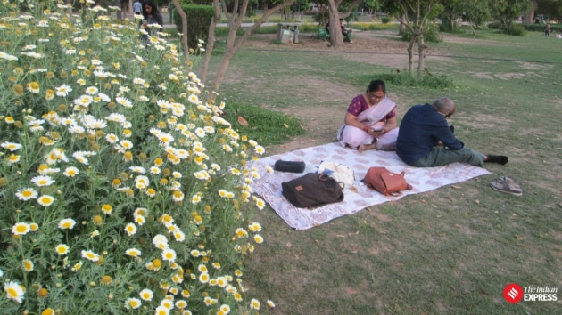 lodhi garden