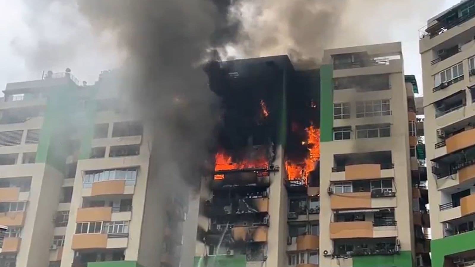 The Art of Baking: From Classic Bread to Artisan Pastries