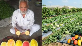 Haryana watermelon farmer