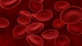 Scientists discovered that red blood cells take up extra glucose from the bloodstream in a low-oxygen atmosphere, rather than utilising it as fuel. (Image for representation: Freepik)