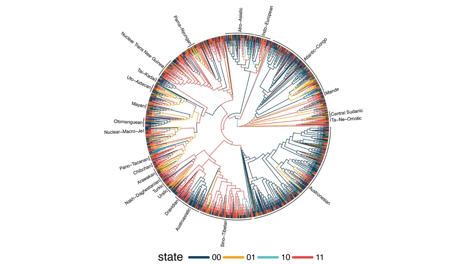 Study of 1,700 languages uncovers hidden rules shaping how we speak