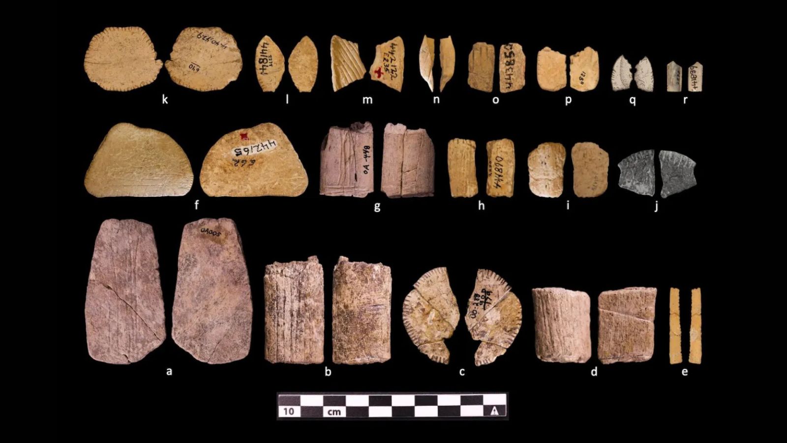 ‘Ice Age casino’: New study identifies 12,900-year-old Native American dice