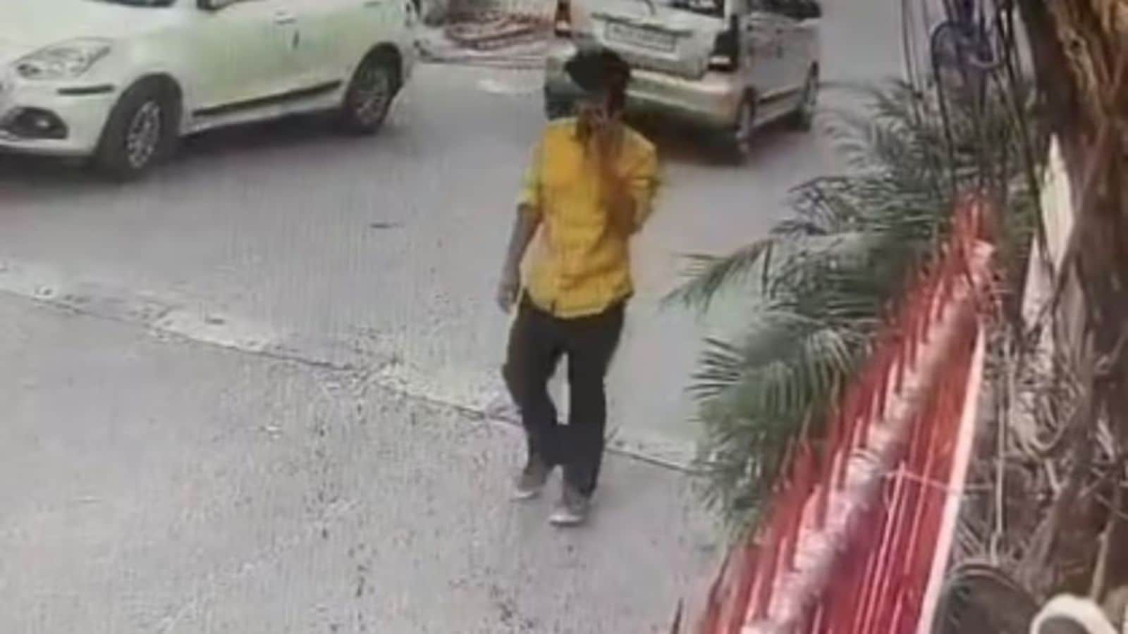 The Art of Baking: From Classic Bread to Artisan Pastries