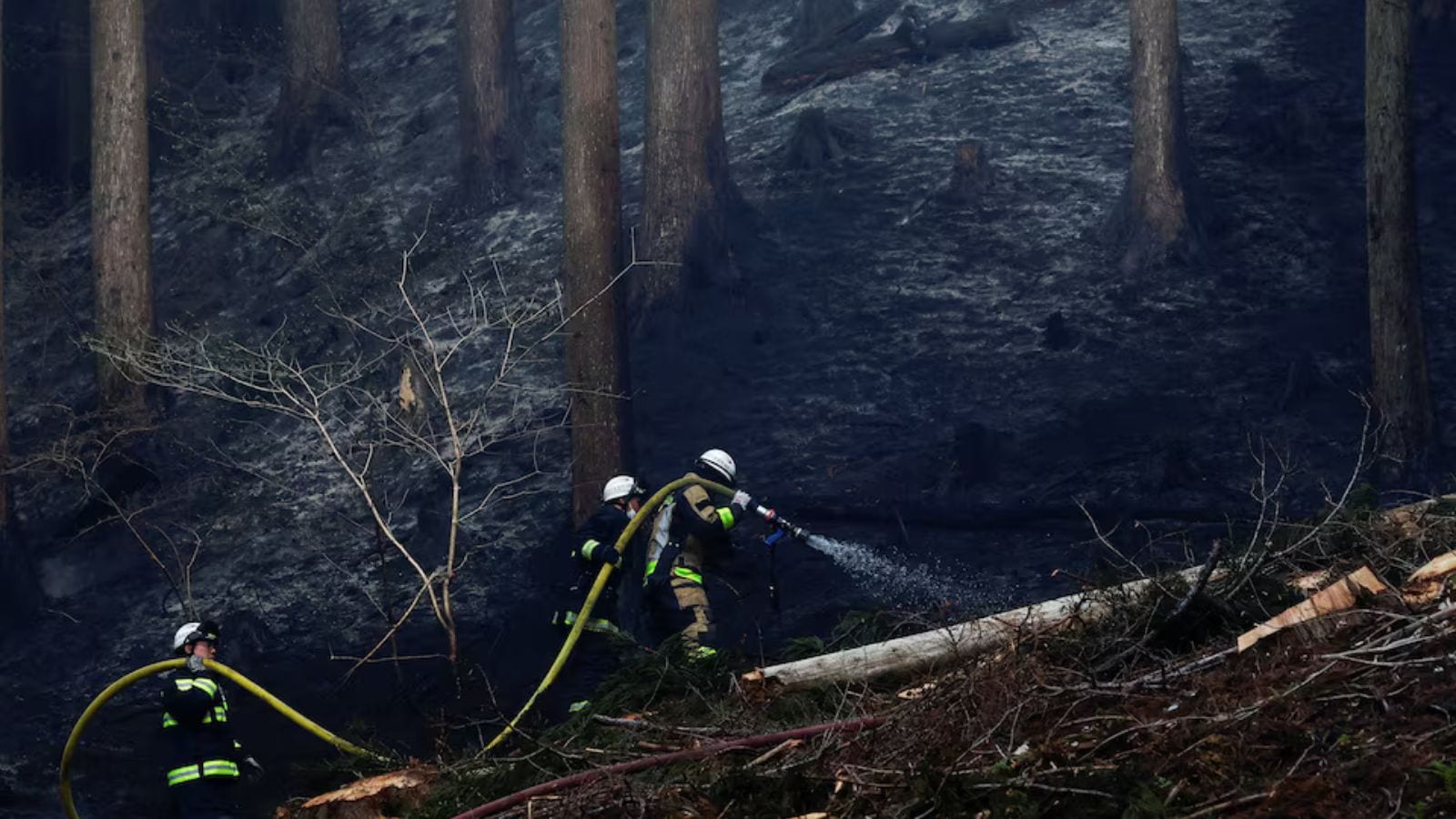 Japan wildfires rage: Over 1,000 firefighters battle flames as 3,000 flee Otsuchi