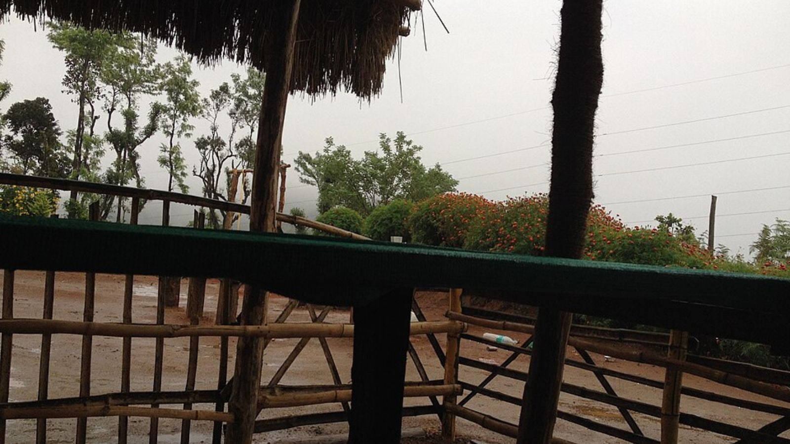 Kodagu ‘rape’: Karnataka challenge, 10,000 homestays, less than half registered