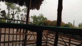 Kodagu homestay