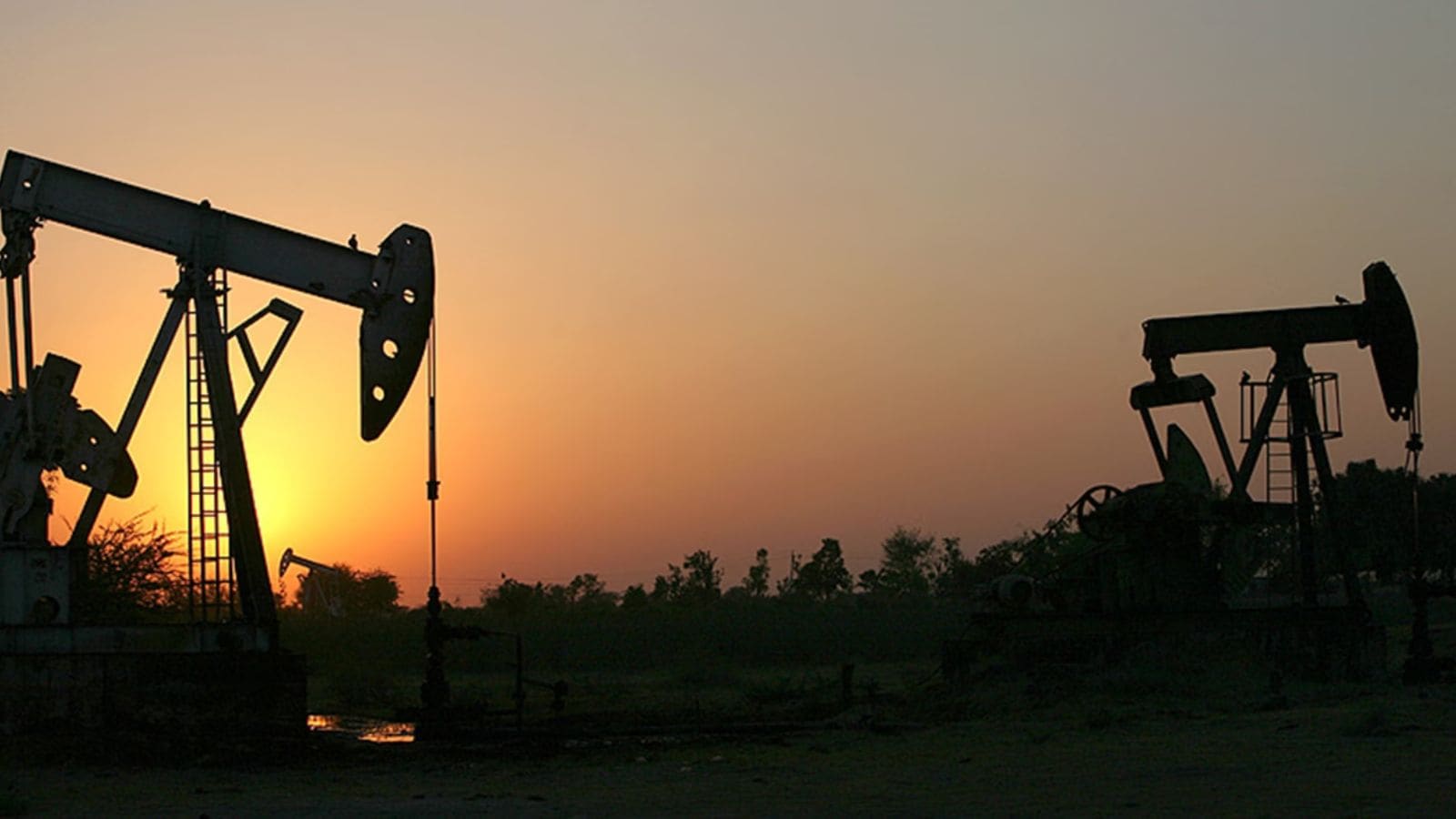 To protest merger with newly formed civic body, Mehsana village boycotts voting: ‘Included without our consent’