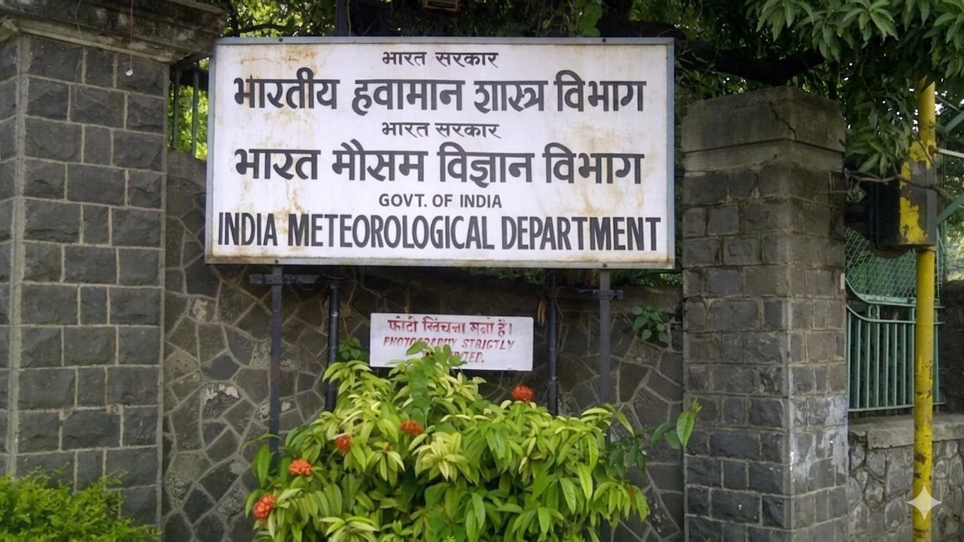 The Art of Baking: From Classic Bread to Artisan Pastries