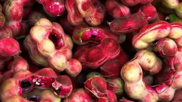 fruits