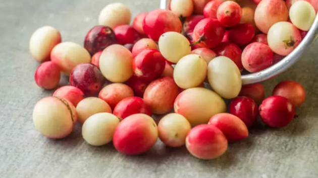 fruits