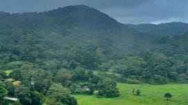 Kodagu homestay