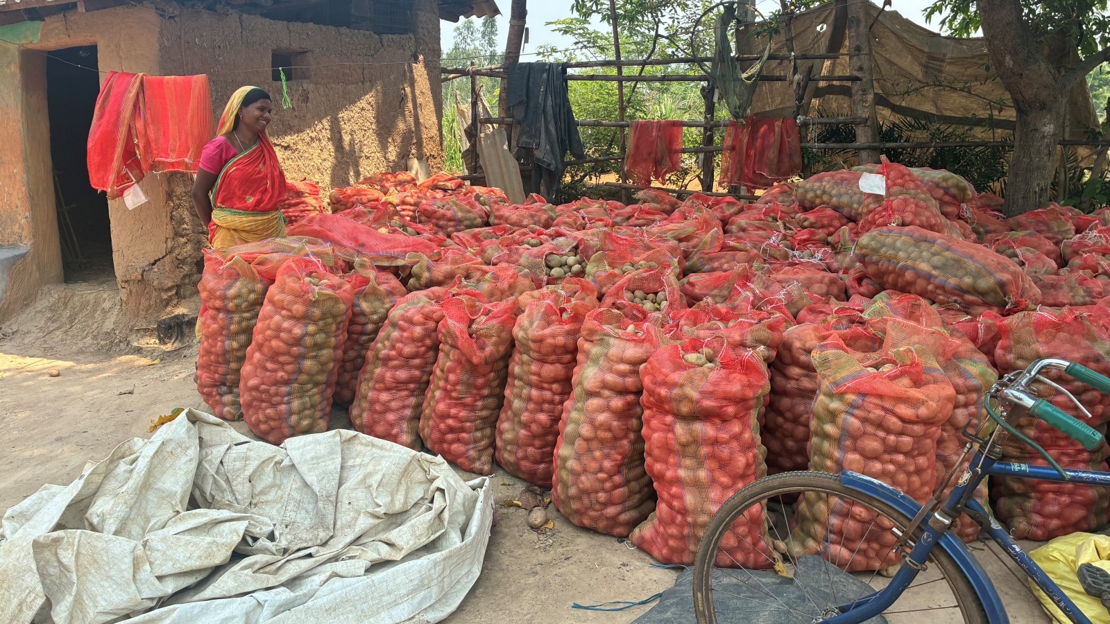 In this fertile Bengal belt, agrarian distress is the talking points this poll season