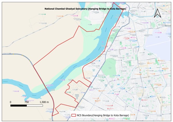an interim Supreme Court order on Kishorpura — a sprawl of rambling lanes and crowded markets in Kota that falls within the National Chambal Gharial Sanctuary. The