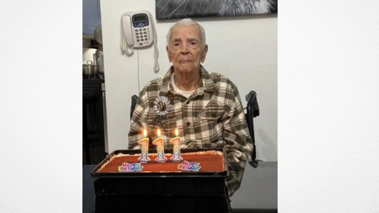 The Art of Baking: From Classic Bread to Artisan Pastries