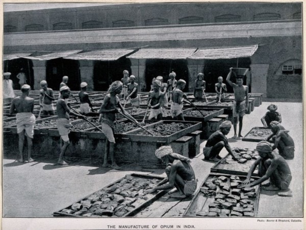 Opium production in Calcutta in 1900 (Wikipedia)