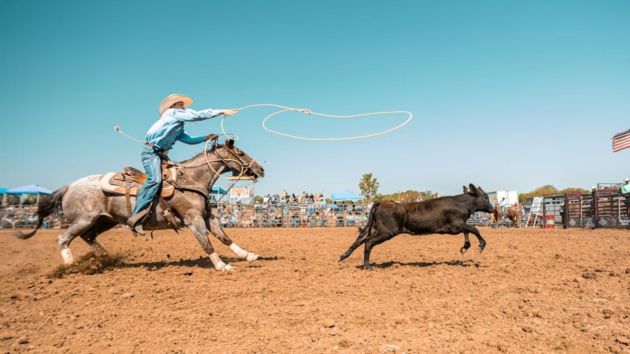 cowboys