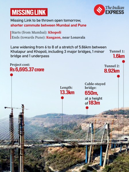 Cable bridge of the Missing Link.