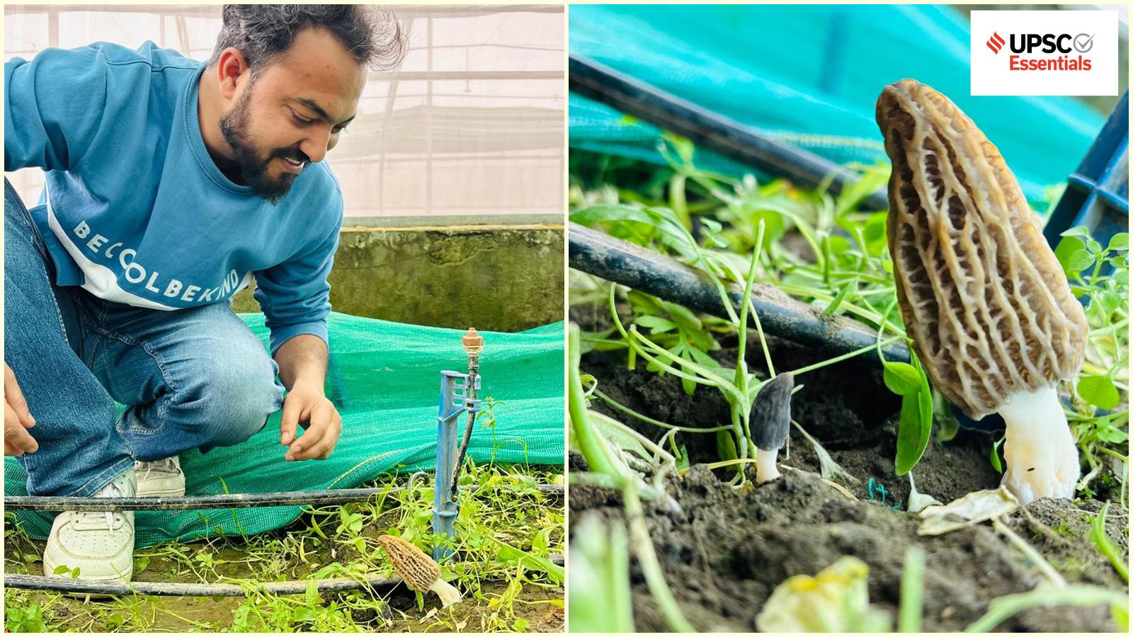 UPSC Essentials daily subject quiz : Environment and Geography MCQs (Week 157) — Check your progress for Prelims 2026