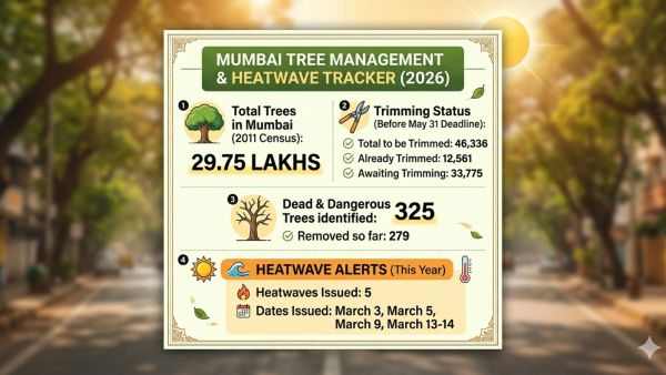 Mumbai tree cutting