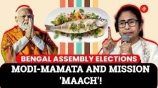 Bengal Assembly Election: How Fish Became A Political Potent In Elections | TMC vs BJP