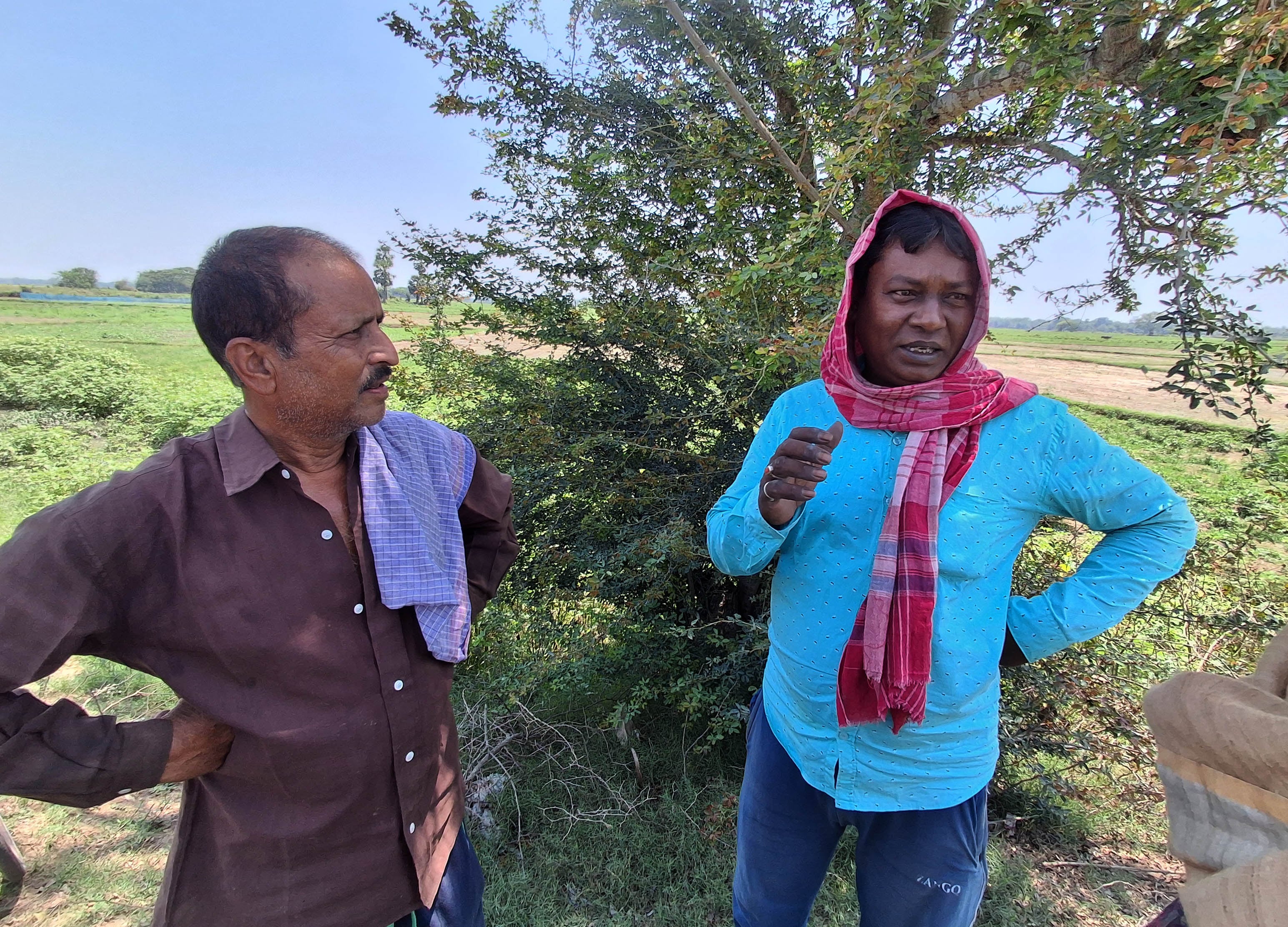 Política da batata quente: No marco zero da ascensão de Mamata, os agricultores contabilizam as suas perdas