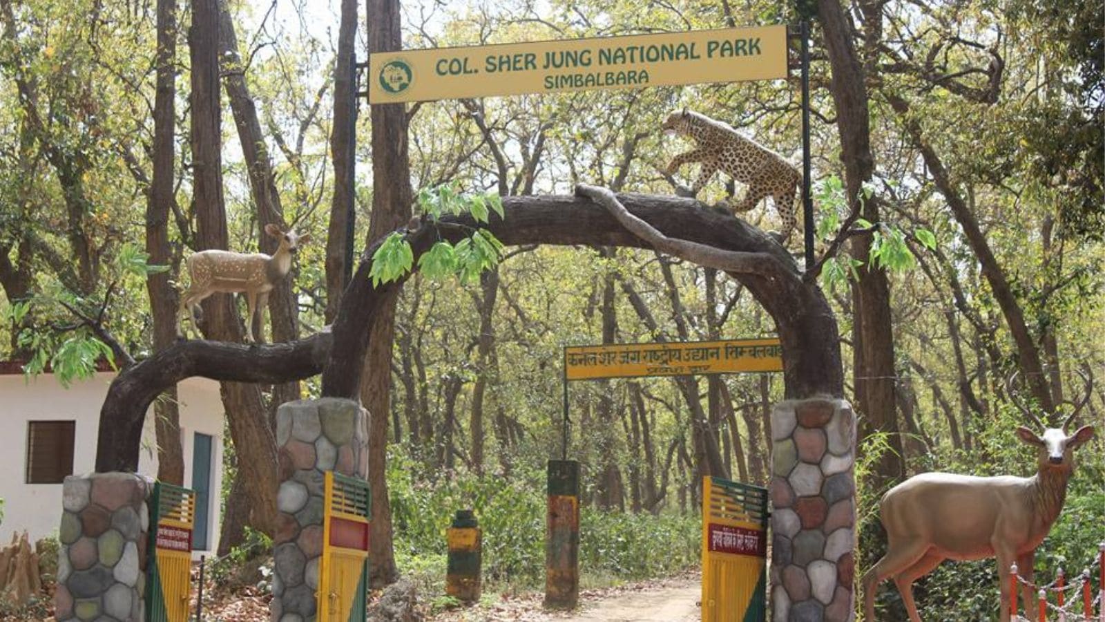 Eco-sensitive zone around Himachal Pradesh national park quashed: What the high court said and why it matters