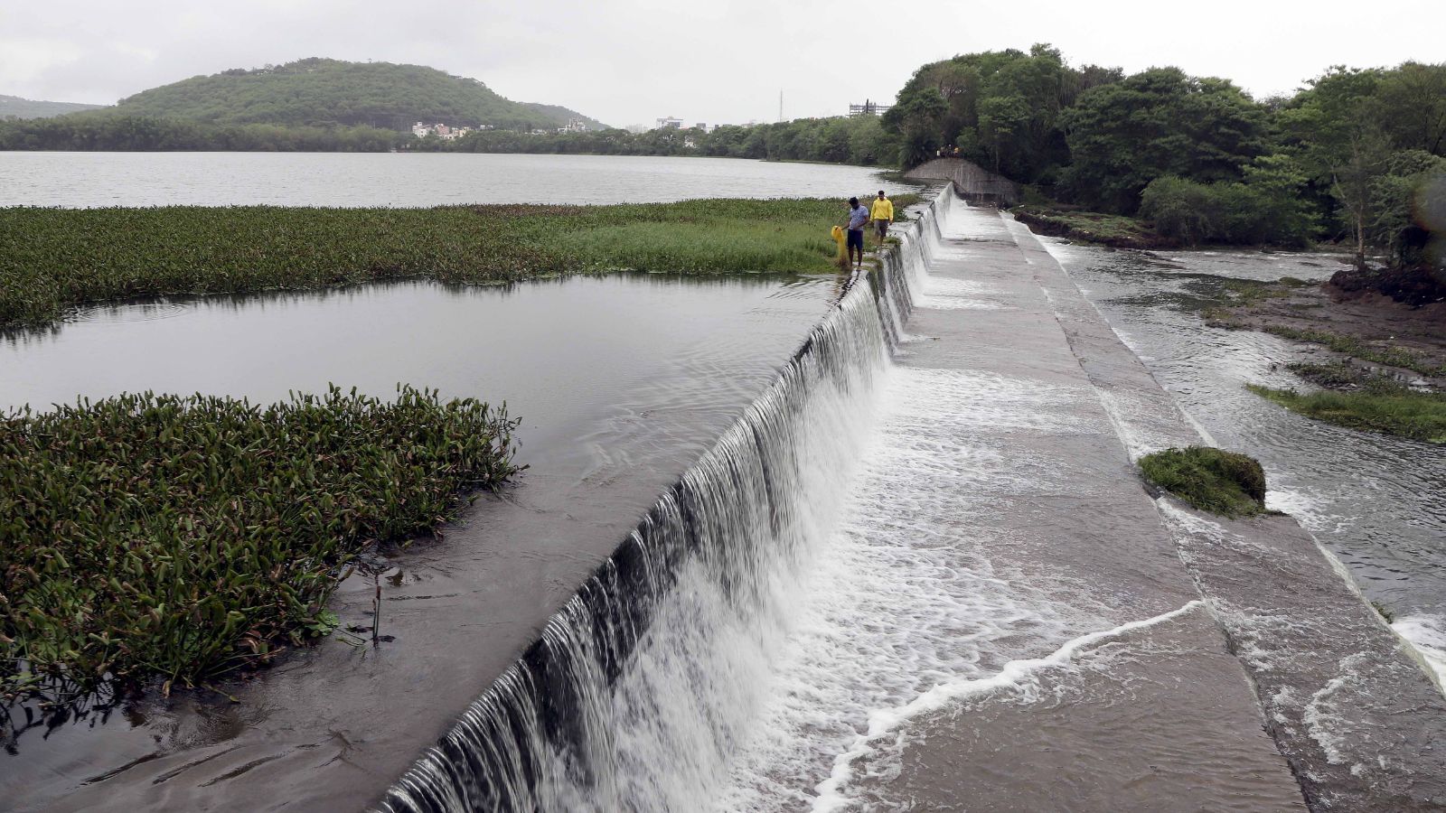 The Art of Baking: From Classic Bread to Artisan Pastries