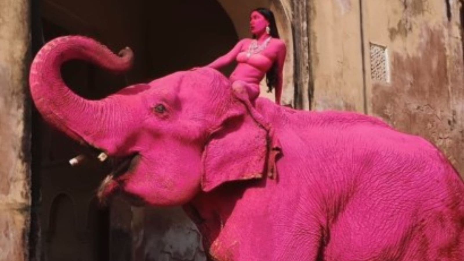 In Jaipur, a pink elephant, a Russian photographer, and an animal cruelty storm