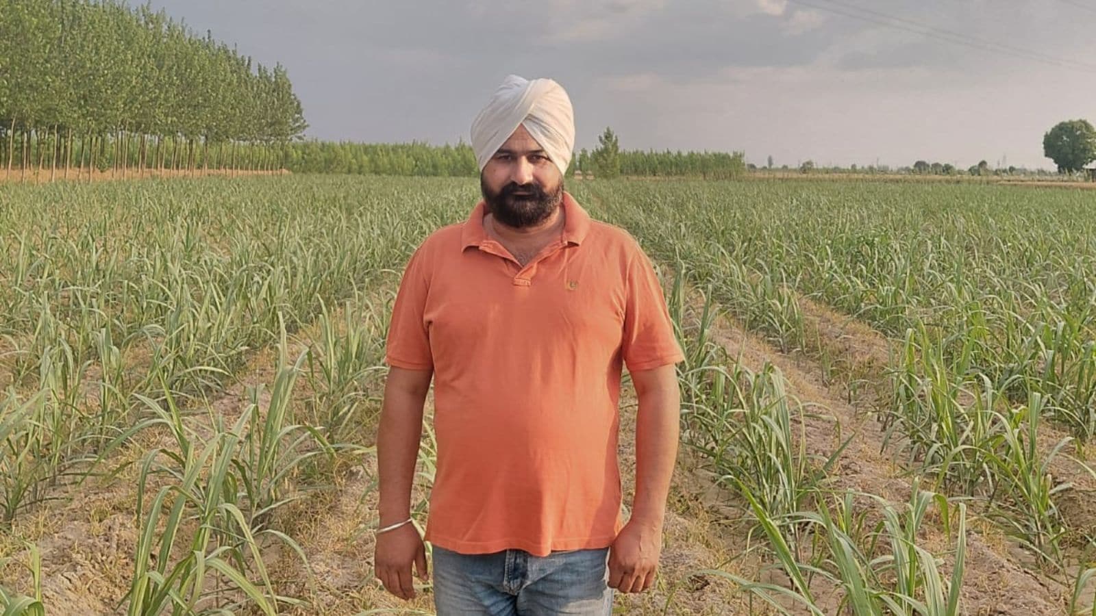 Yamunanagar sugarcane farmer writes success story with wide row spacing technique, earns Rs 15 lakh annually