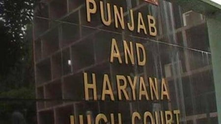 Punjab and Haryana High Court Nayagaon sewer project