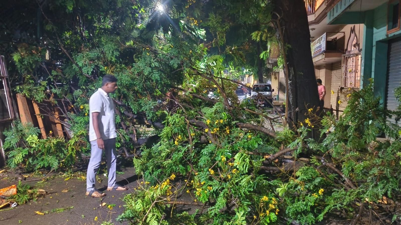The Art of Baking: From Classic Bread to Artisan Pastries