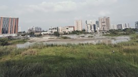 A view of Rajarhat
