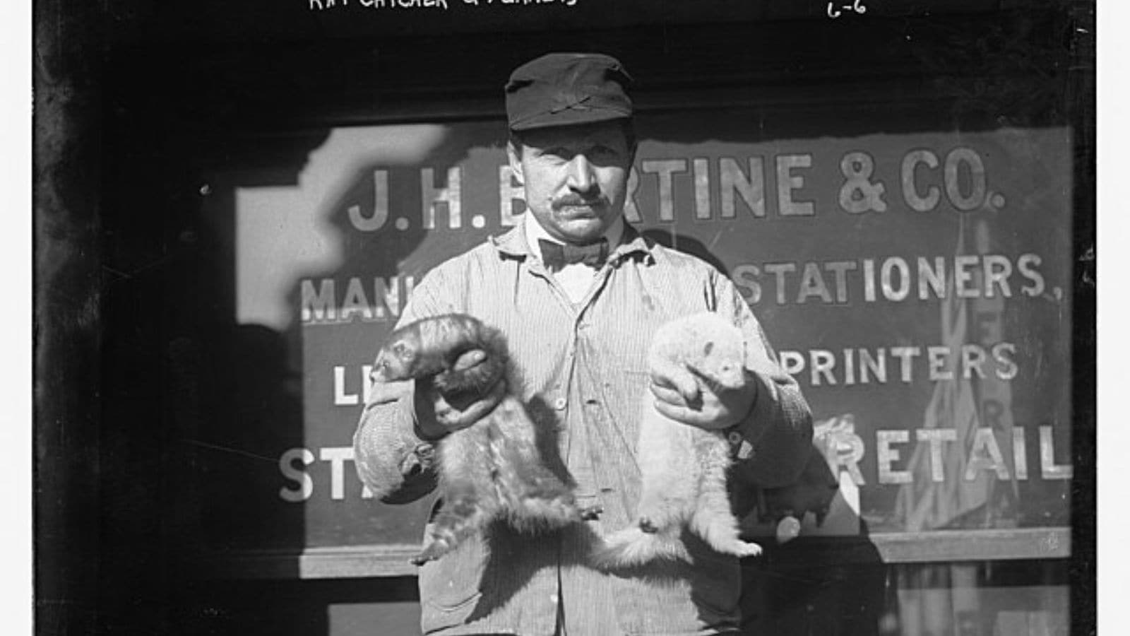 The world’s weirdest forgotten jobs