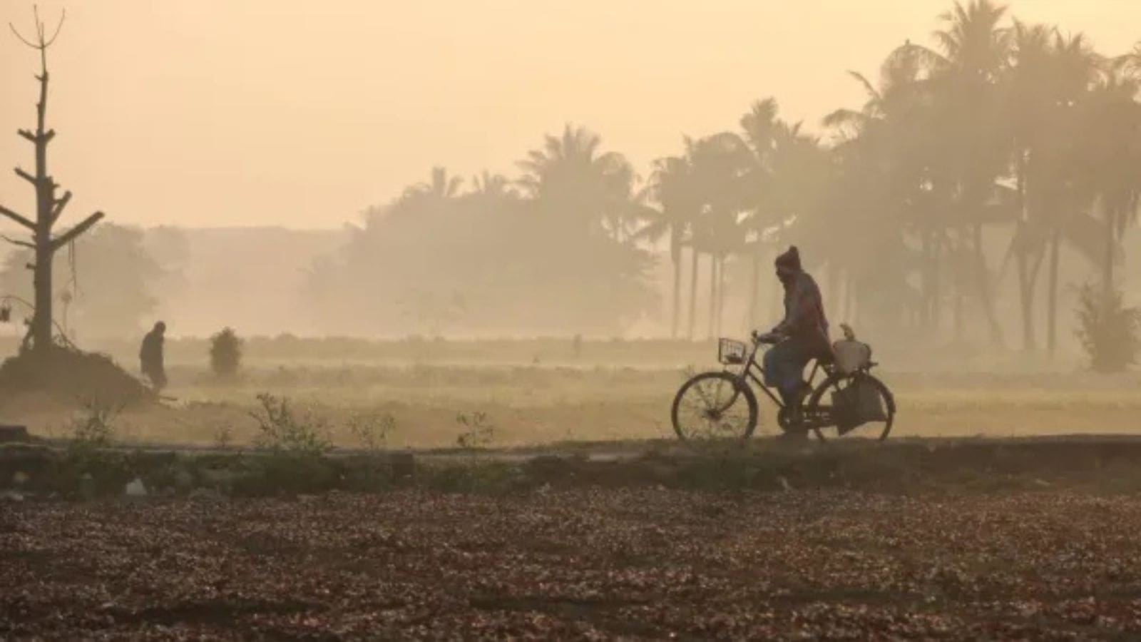 Reader’s Corner: From Chandigarh to Kolkata, a journey back home