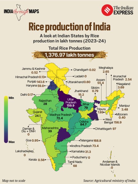 rice production in India