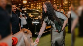 Rihanna cowhide dior bag