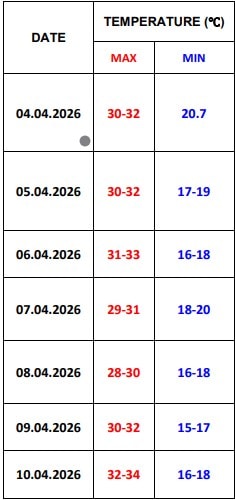 Delhi forecast for next seven days