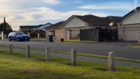 New Zealand, viral Indian woman in New Zealand, Indian woman in New Zealand, life in New Zealand, editorial, Indian express, opinion news, current affairs