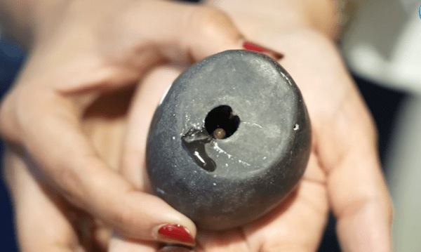 Remo Dsouza and Lizelle's house