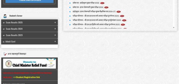 CGBSE class 10,12 marksheet: Websites to check