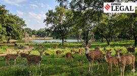 Supreme Court Deer relocation delhi