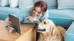 As pet care goes digital, new platforms promise smarter solutions—but trust and awareness remain key hurdles. (Image for representation: Freepik)