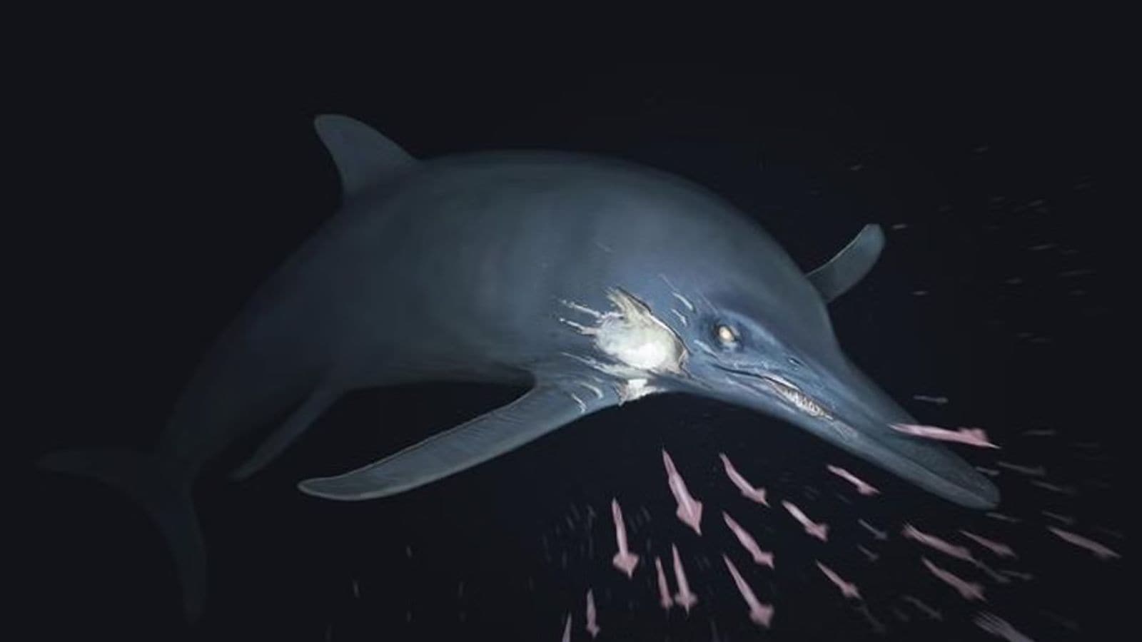 180-million-year-old fossil of dolphin-like predator sheds new light on Jurassic marine life
