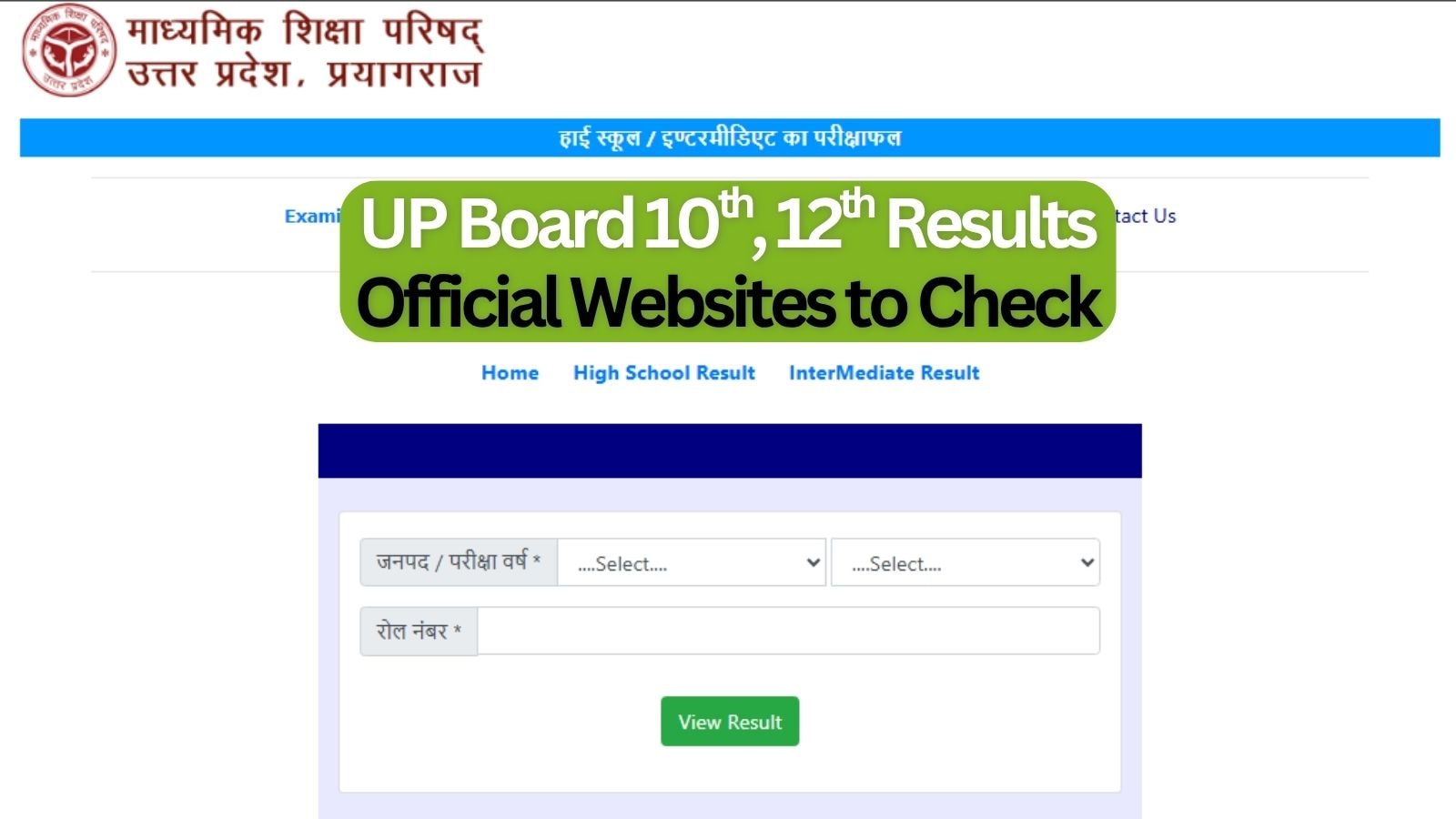 The Art of Baking: From Classic Bread to Artisan Pastries