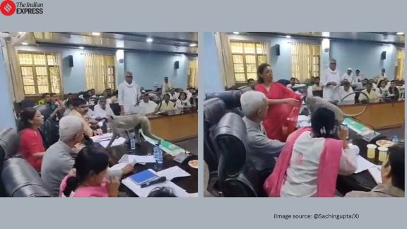 UP DM Asmita Lal langur video